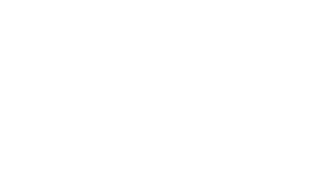 Leonit Logo