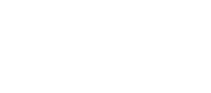 Leonit Logo